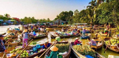 mekong-delta-tour-vietnam-17